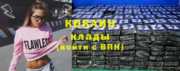 спиды Алзамай